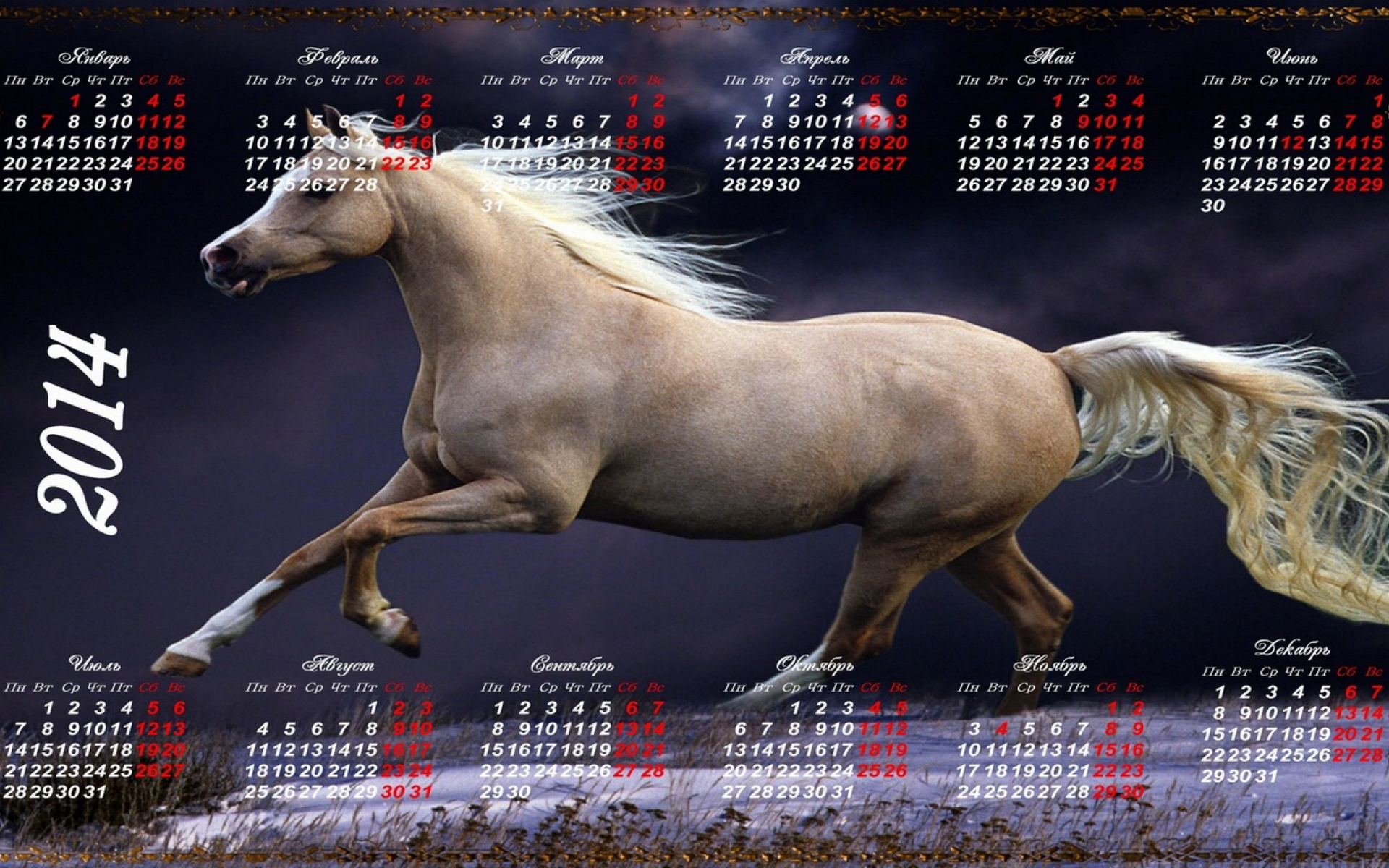 Гороскоп Лошадь февраль 2023