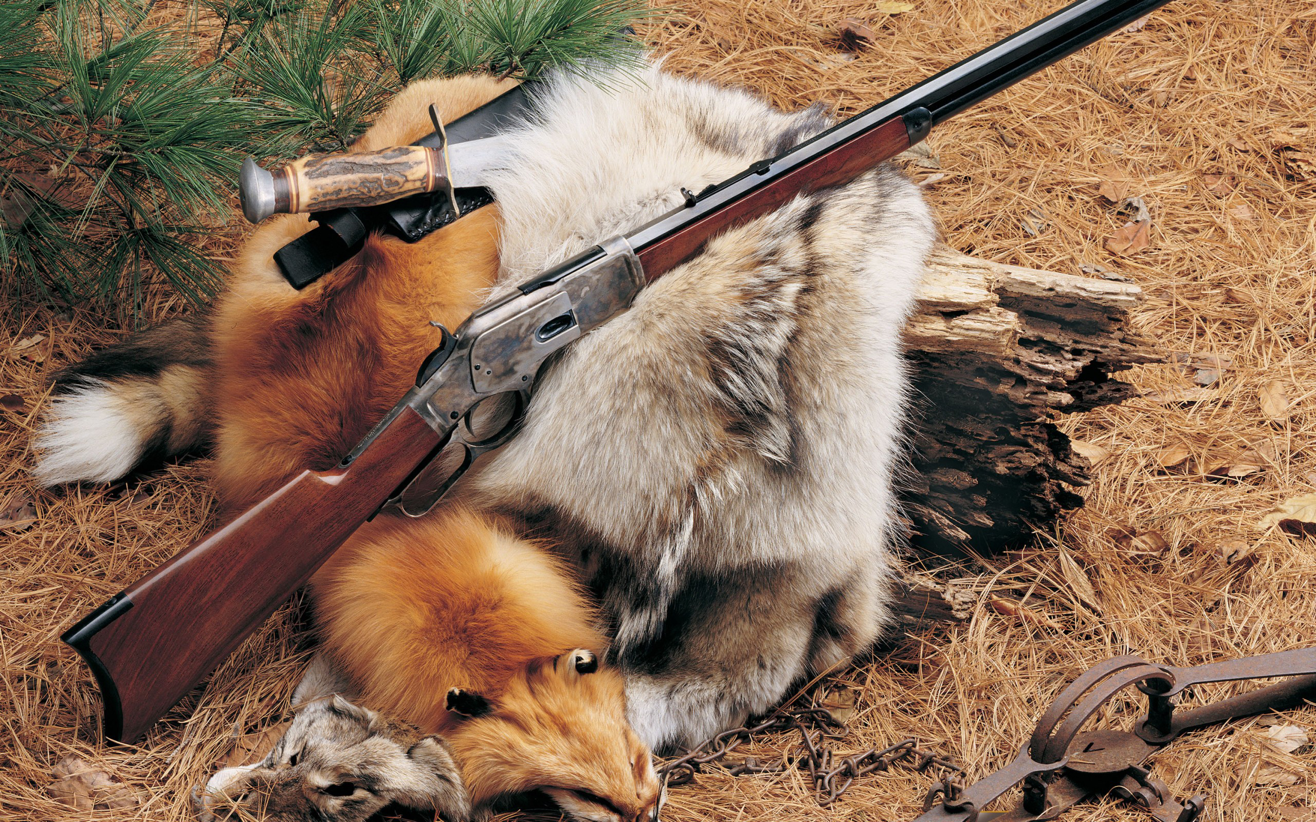 Песня че та так охота. Охотник с ружьем. Охотничьи ружья на охоте. Красивые ружья для охоты.