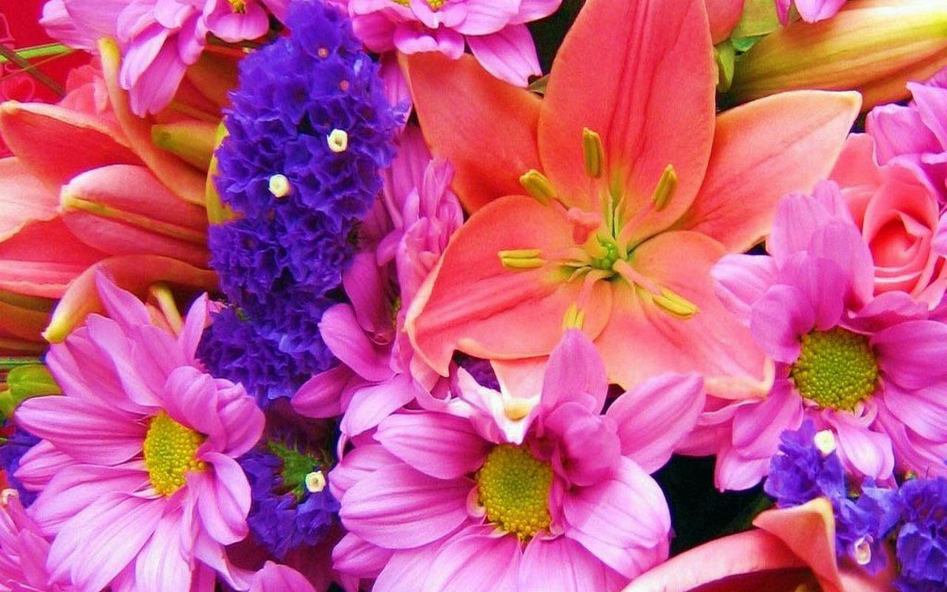 Цветы картинки праздник красивые. Яркие цветы. Красивый букет цветов. Шикарные цветы. Красивые яркие цветы.